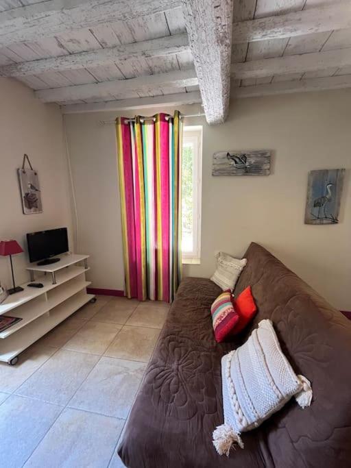 "La Pradeto" Gite Rural Camargue Arles Ngoại thất bức ảnh